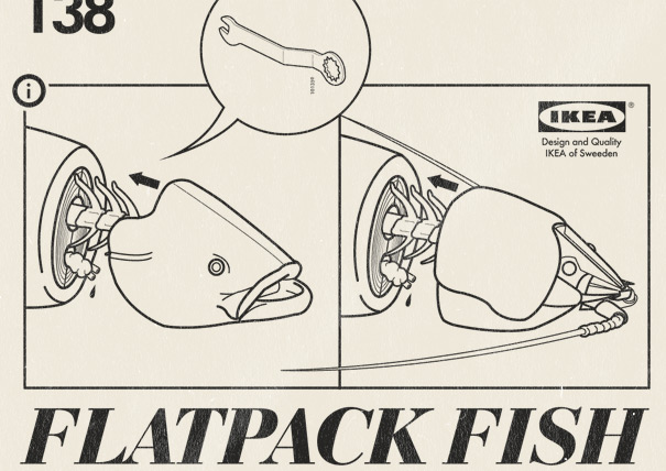 Flatpack Fish